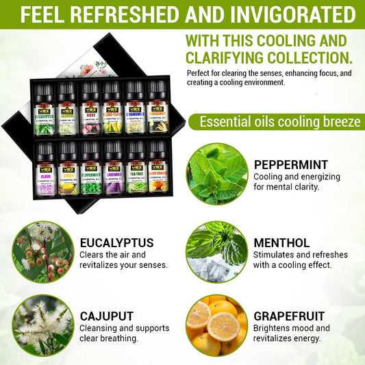 Essential Oils - Cooling Breeze ❄️🌬️