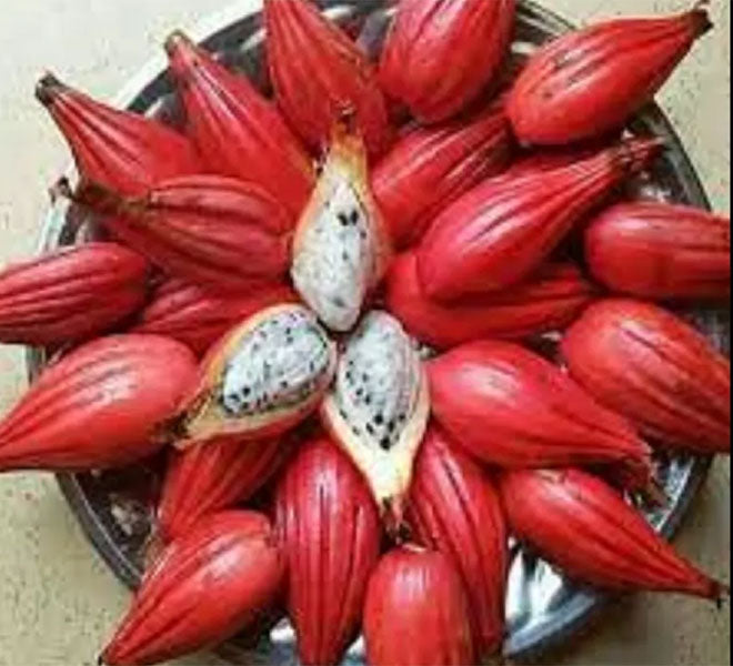 Grains of Paradise Powder 125g