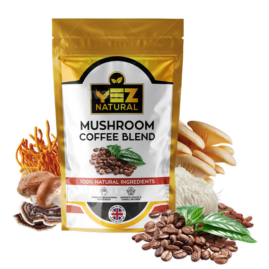 Mushroom Coffee Blend – Energise & Focus ☕🍄